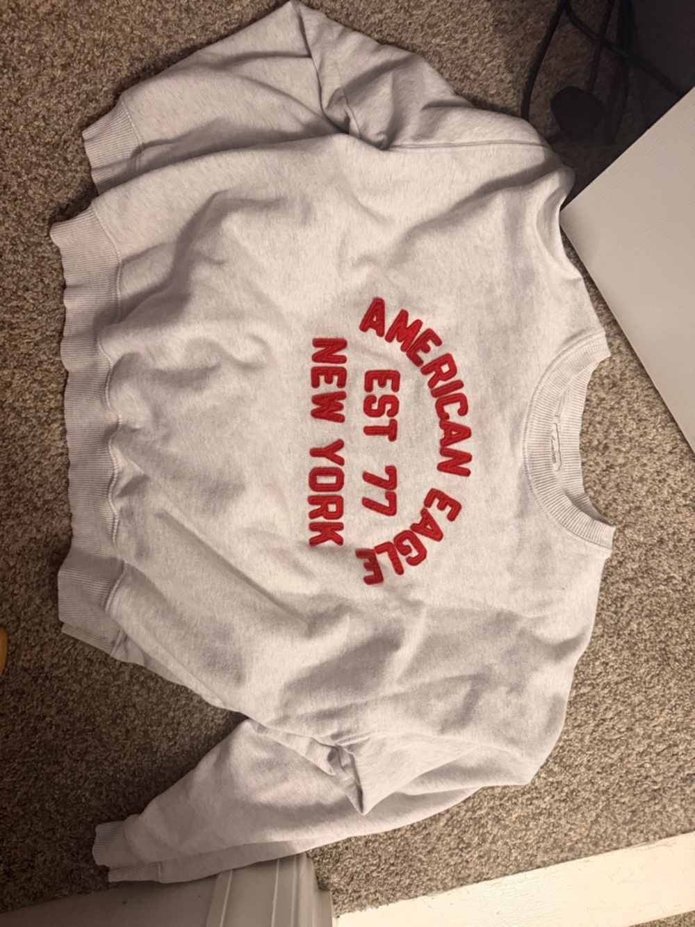 American Eagle Outfitters White Sweatshirt with Red Arched Logo